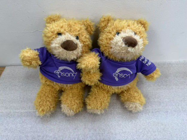 Picture of Stuffed Mini Bears